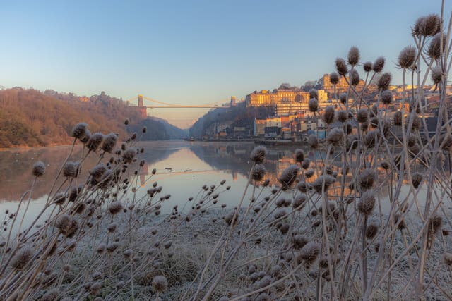 <p>Frosty teasels in Bristol, where clear misty skies and a cold morning brings frost across parts of the south west UK</p>