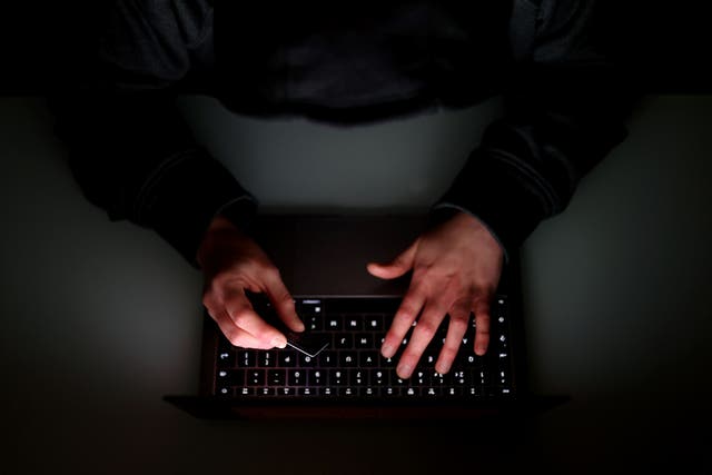 The Government is considering giving new powers to law enforcement agencies to seize IP addresses and web domains being used by criminals to carry out offences online (PA)