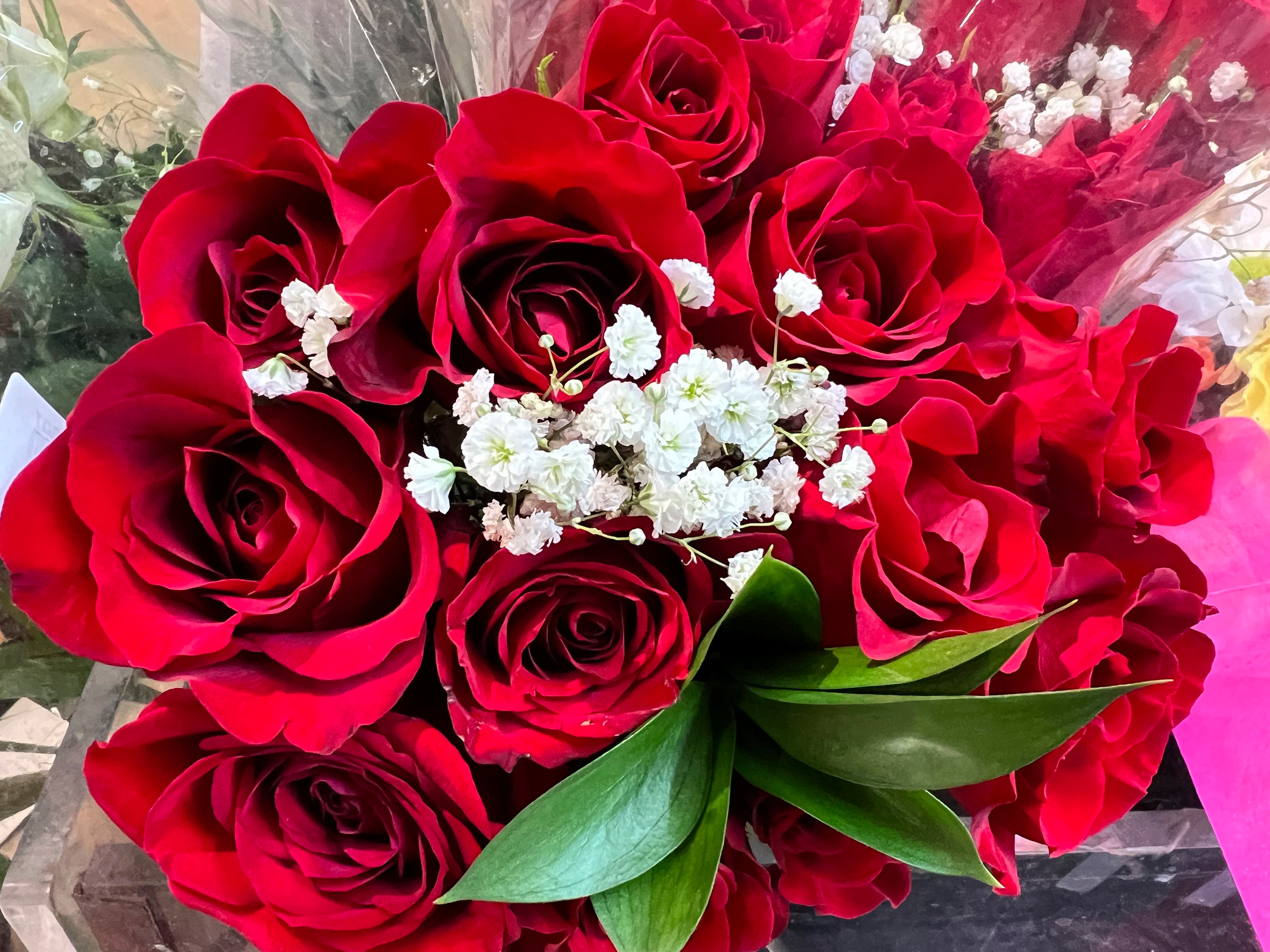 Gardening-Pets and Flowers