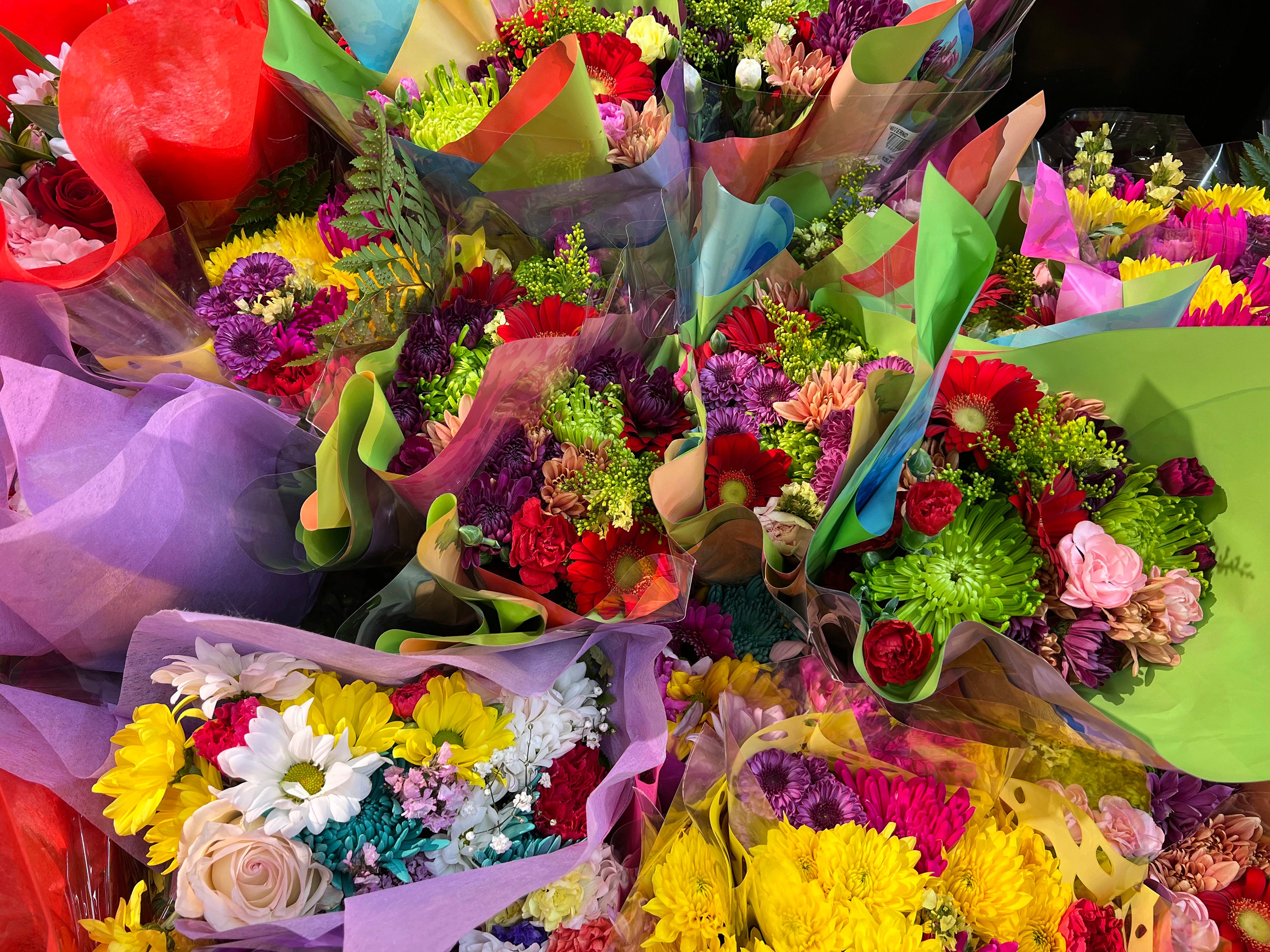 Gardening-Pets and Flowers