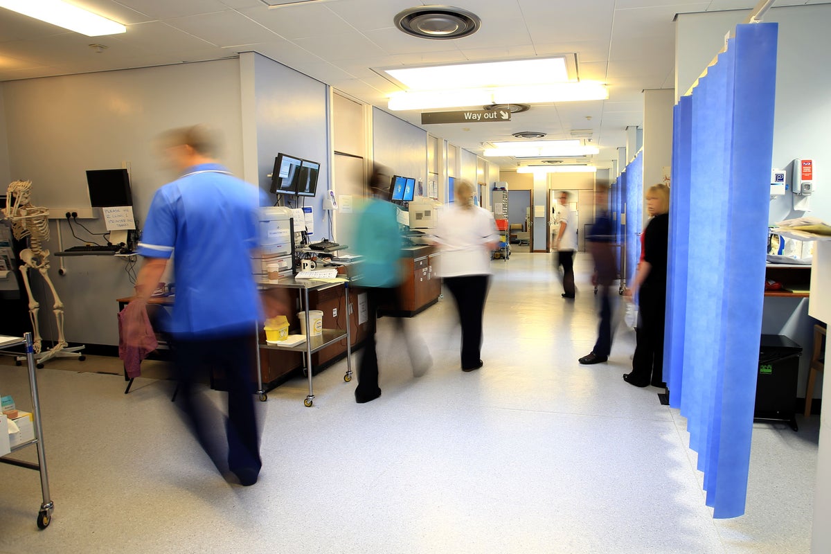 NHS waiting list likely to ‘flatline’ for the next year, economists warn