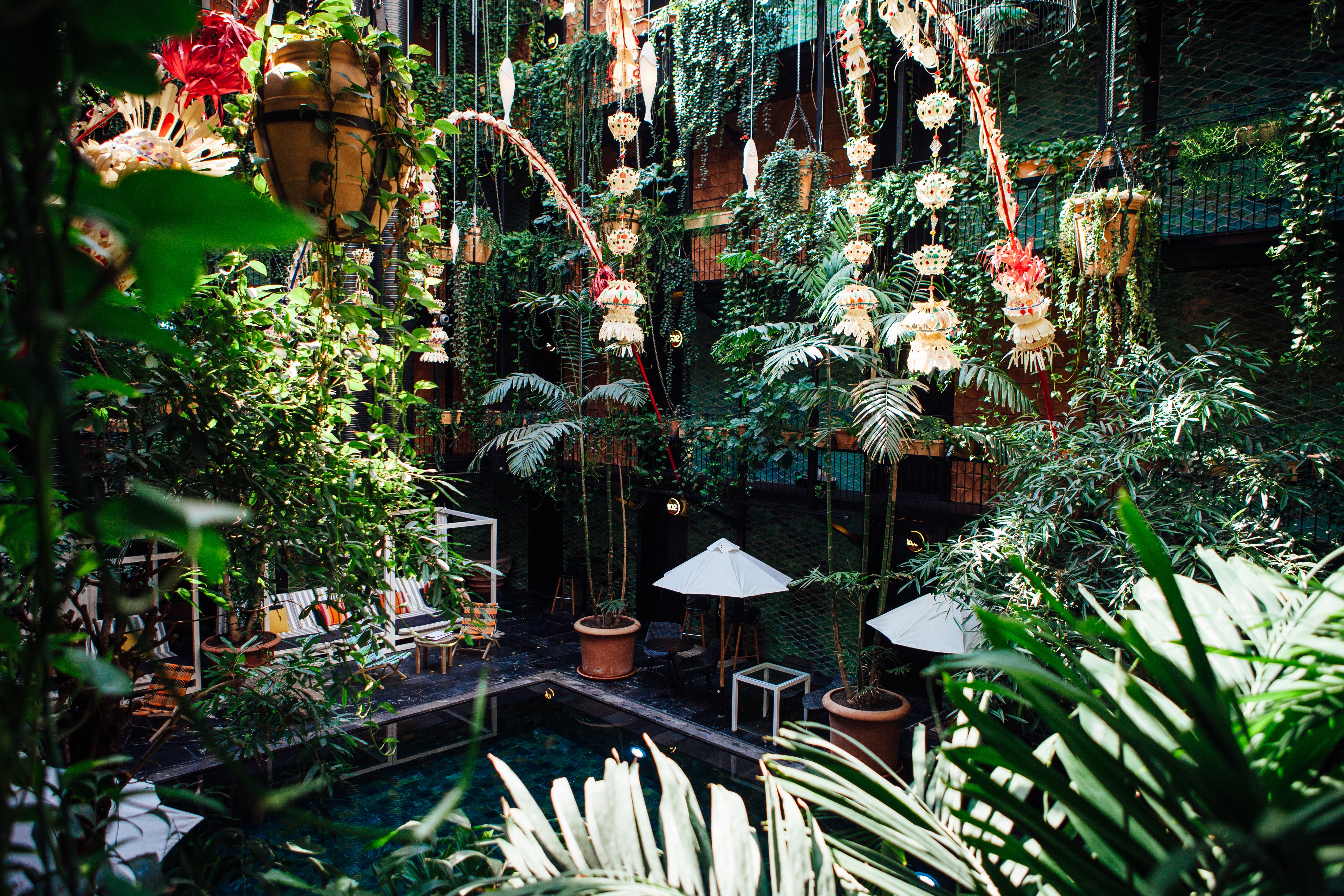 <p>The lusciously plant-draped pool at Manon les Suites</p>