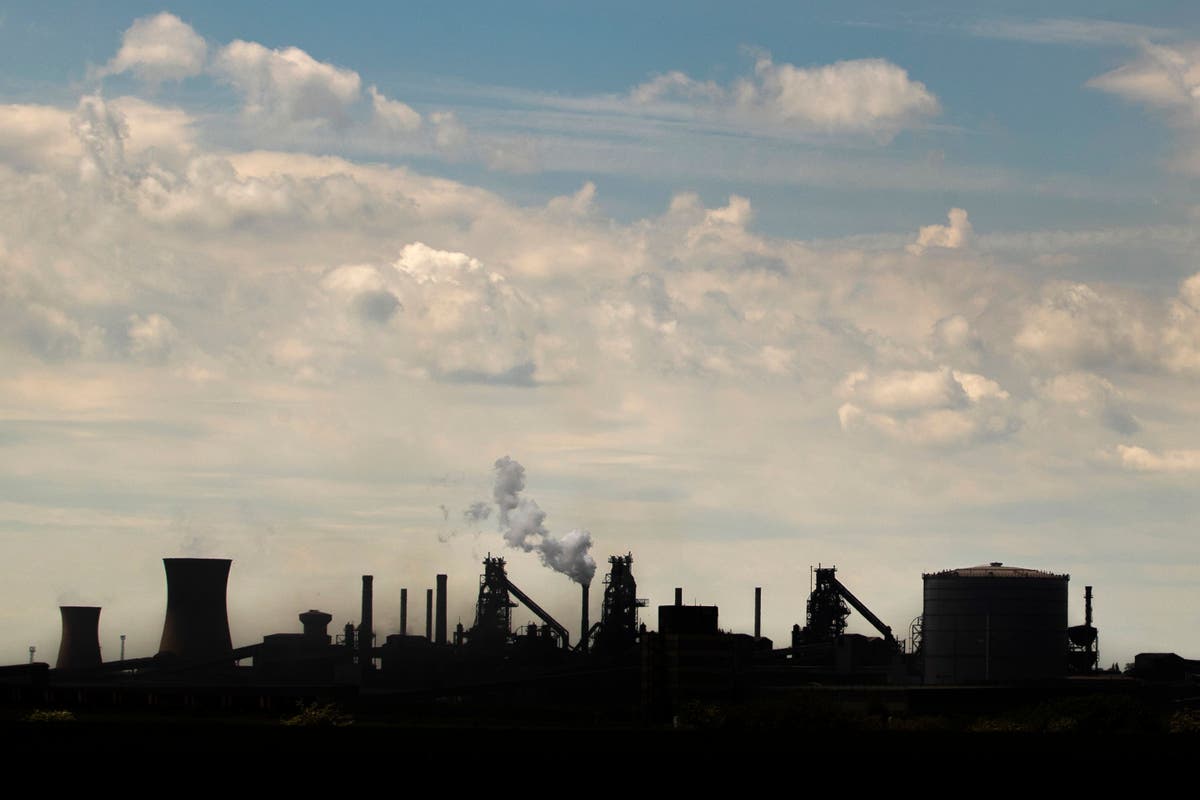 Government &lsquo;negligence&rsquo; to blame for steel firm&rsquo;s collapse, says union