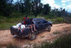 Brazil squeezes illegal miners out of Yanomami territory