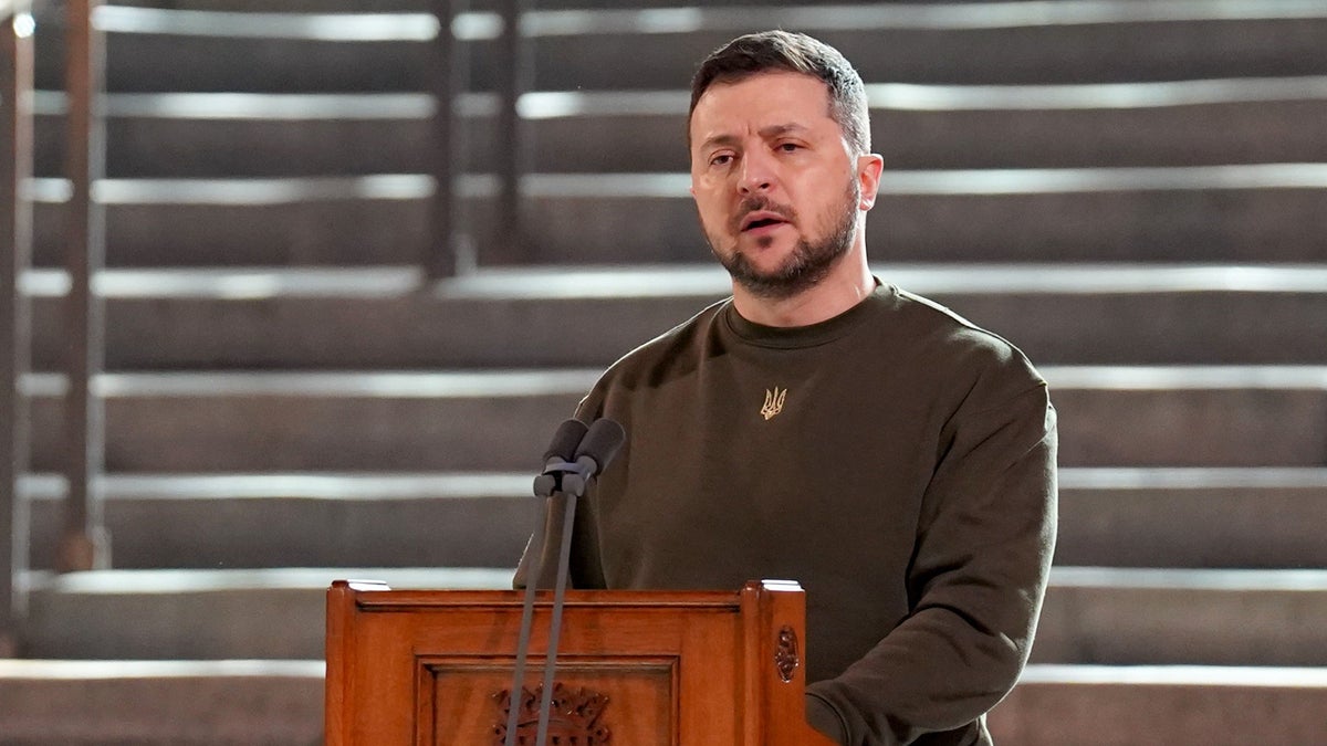 Voices: Zelensky had his Elvis moment at Westminster Hall