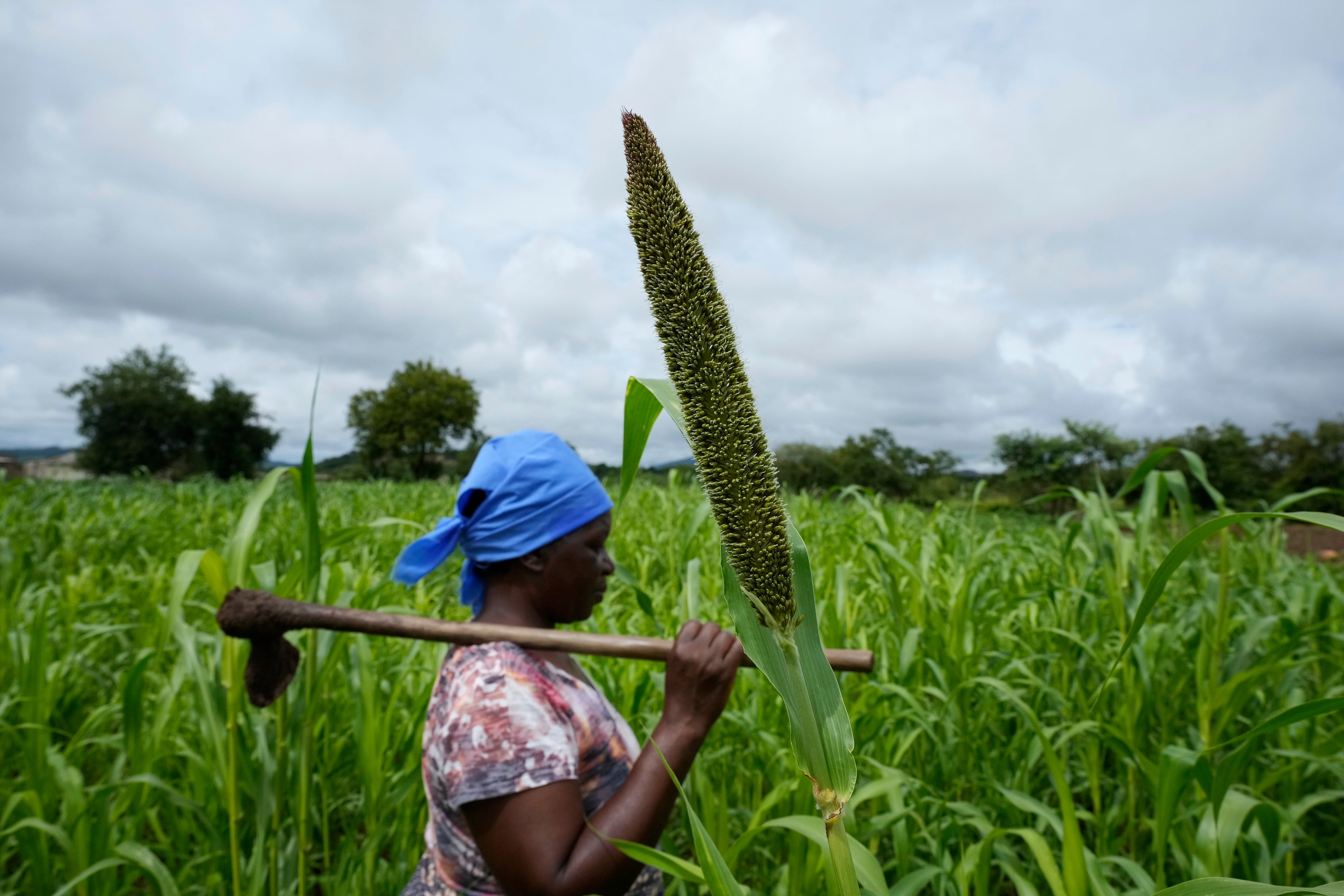 APTOPIX UN Food Alternative Grains