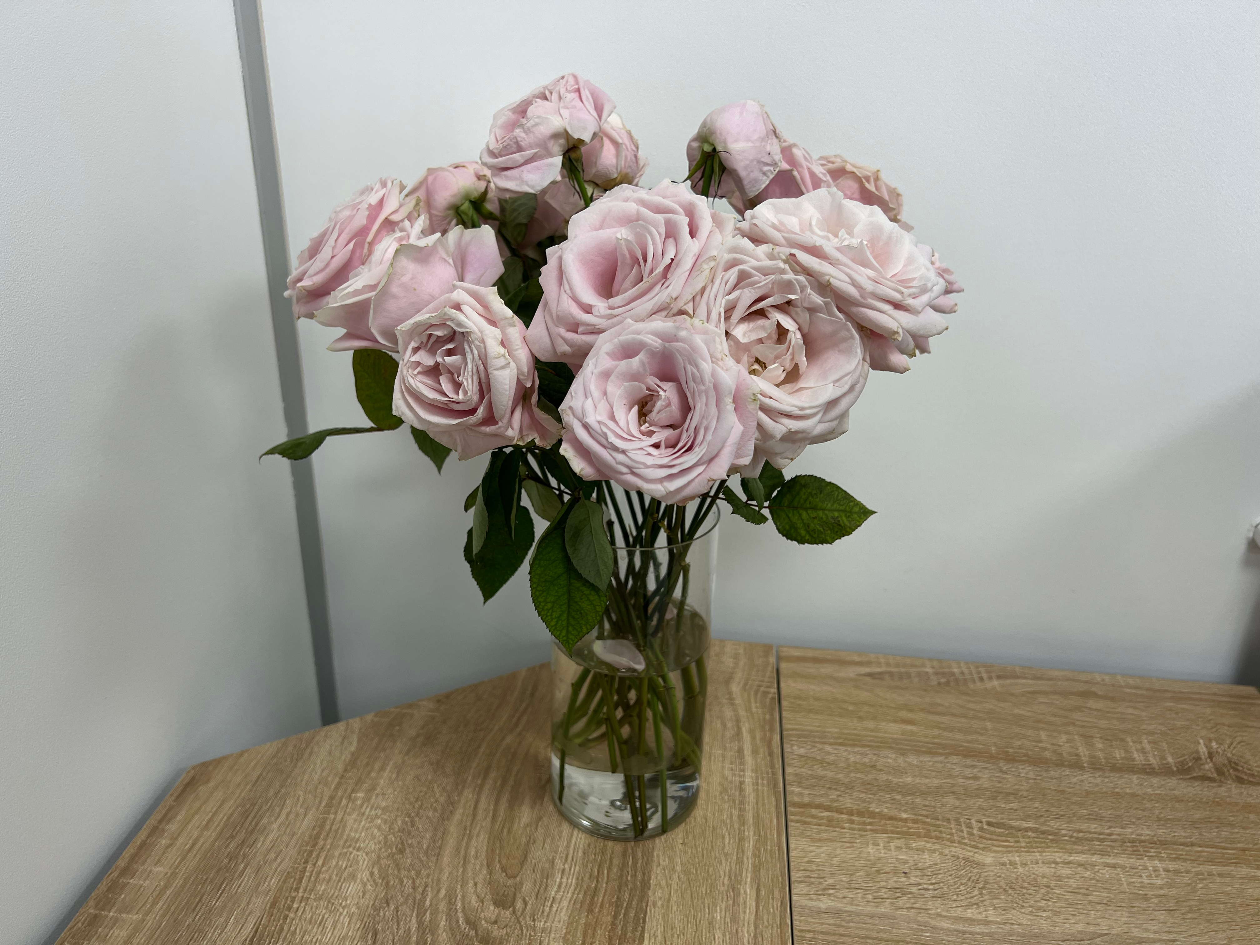 Flowerbx letterbox roses same day delivery