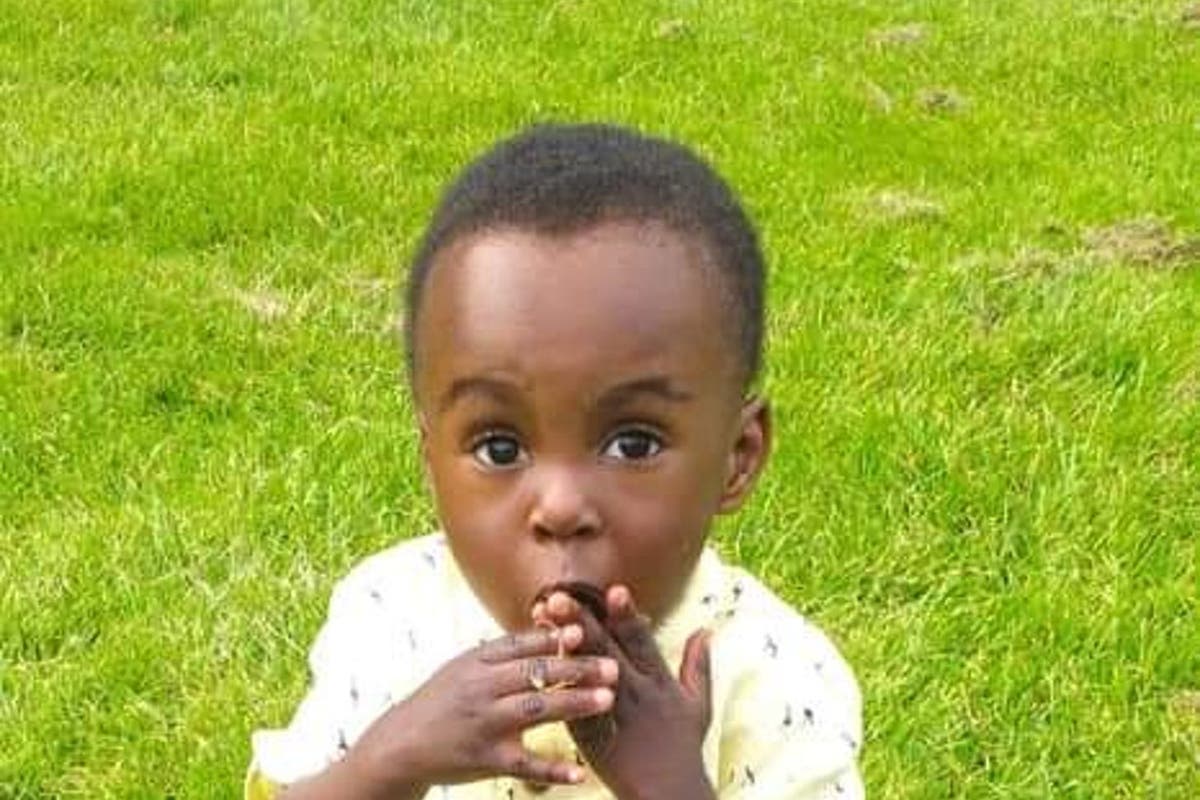 Awaab Ishak: Social landlord where toddler died said mould was ‘acceptable’ in refugees’ homes