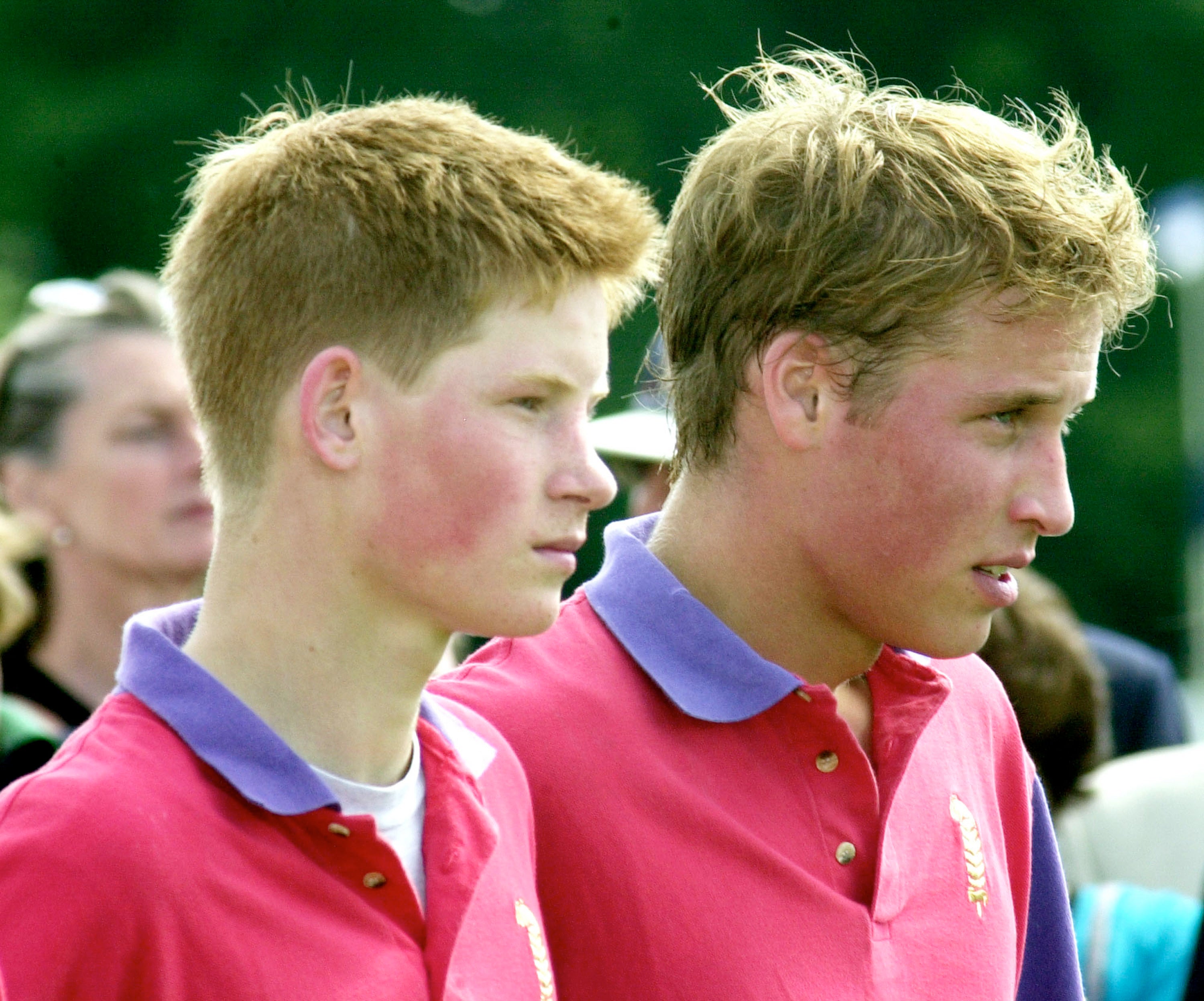Harry (left) aged 16