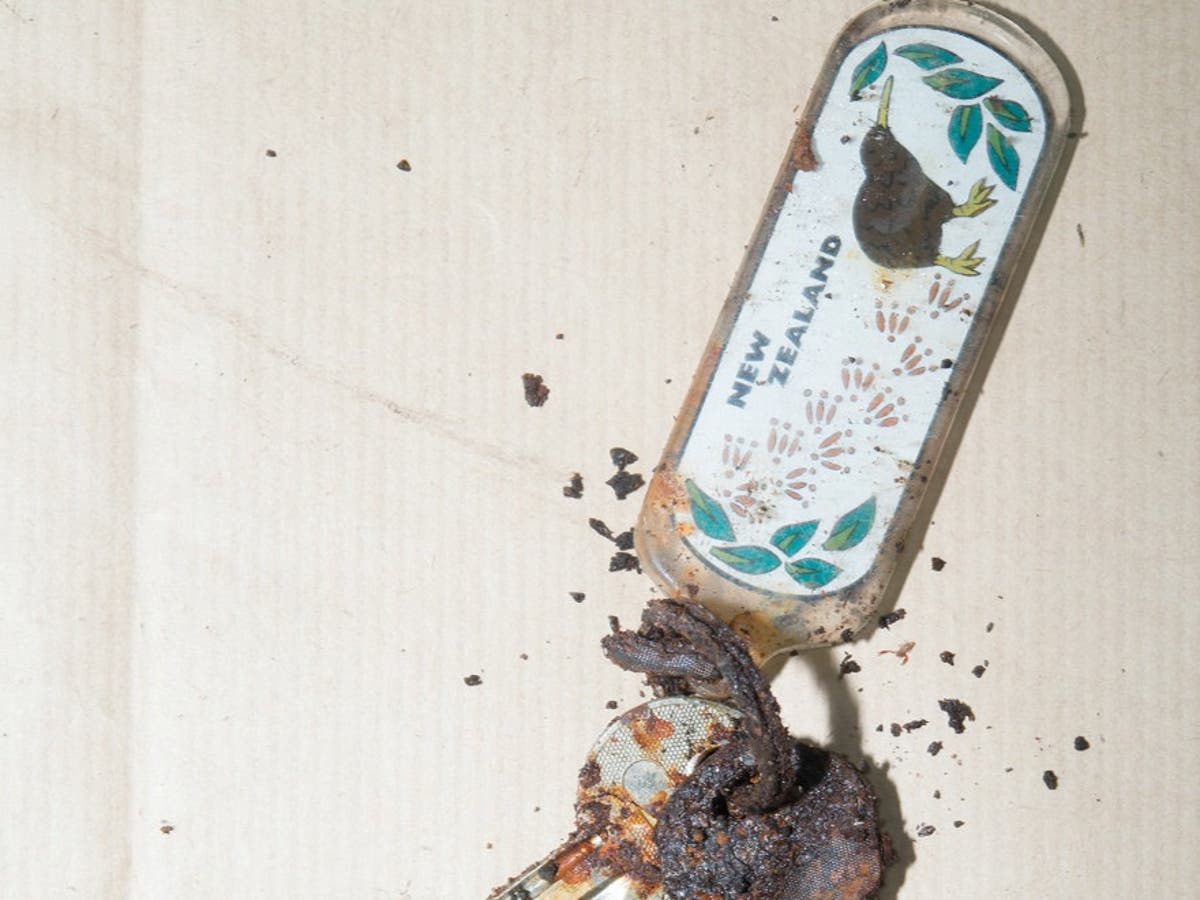 New Zealand keyring could be vital in identifying human bones found next to railway 