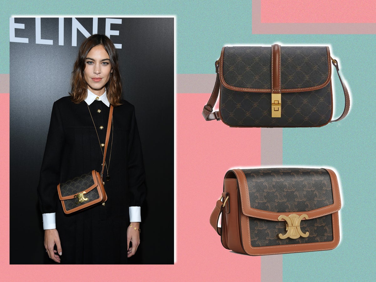 Celine 2023 Triomphe Phone Pouch - Brown Crossbody Bags, Handbags