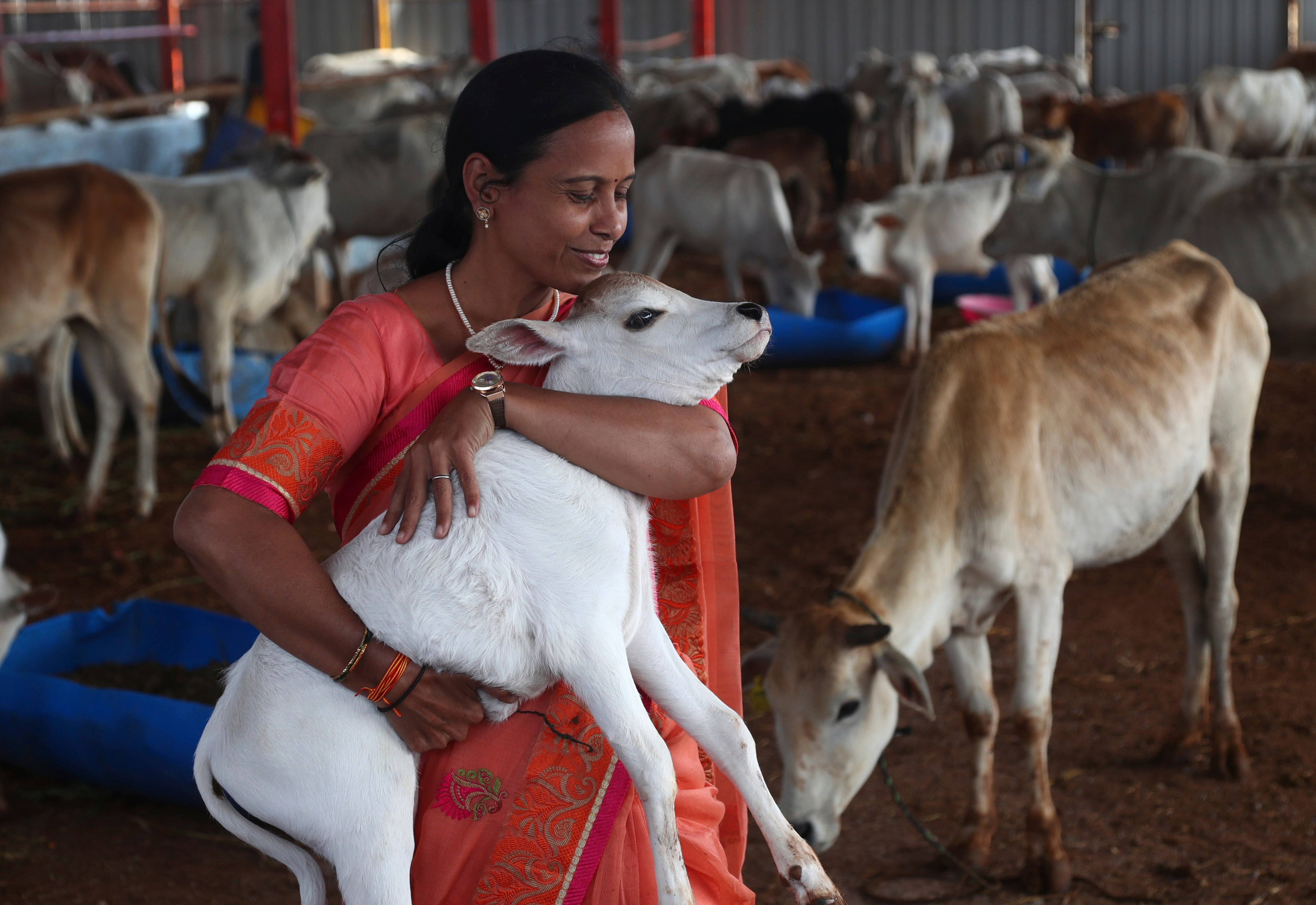 India Hindu Valentine's Day