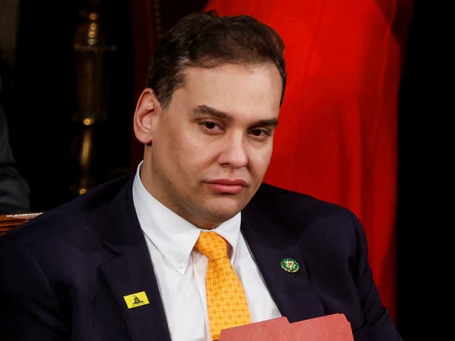 <p>George Santos sits in the US House </p>