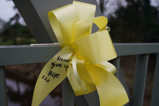 Messages of hope tied to River Wyre bridge as Nicola Bulley search continues