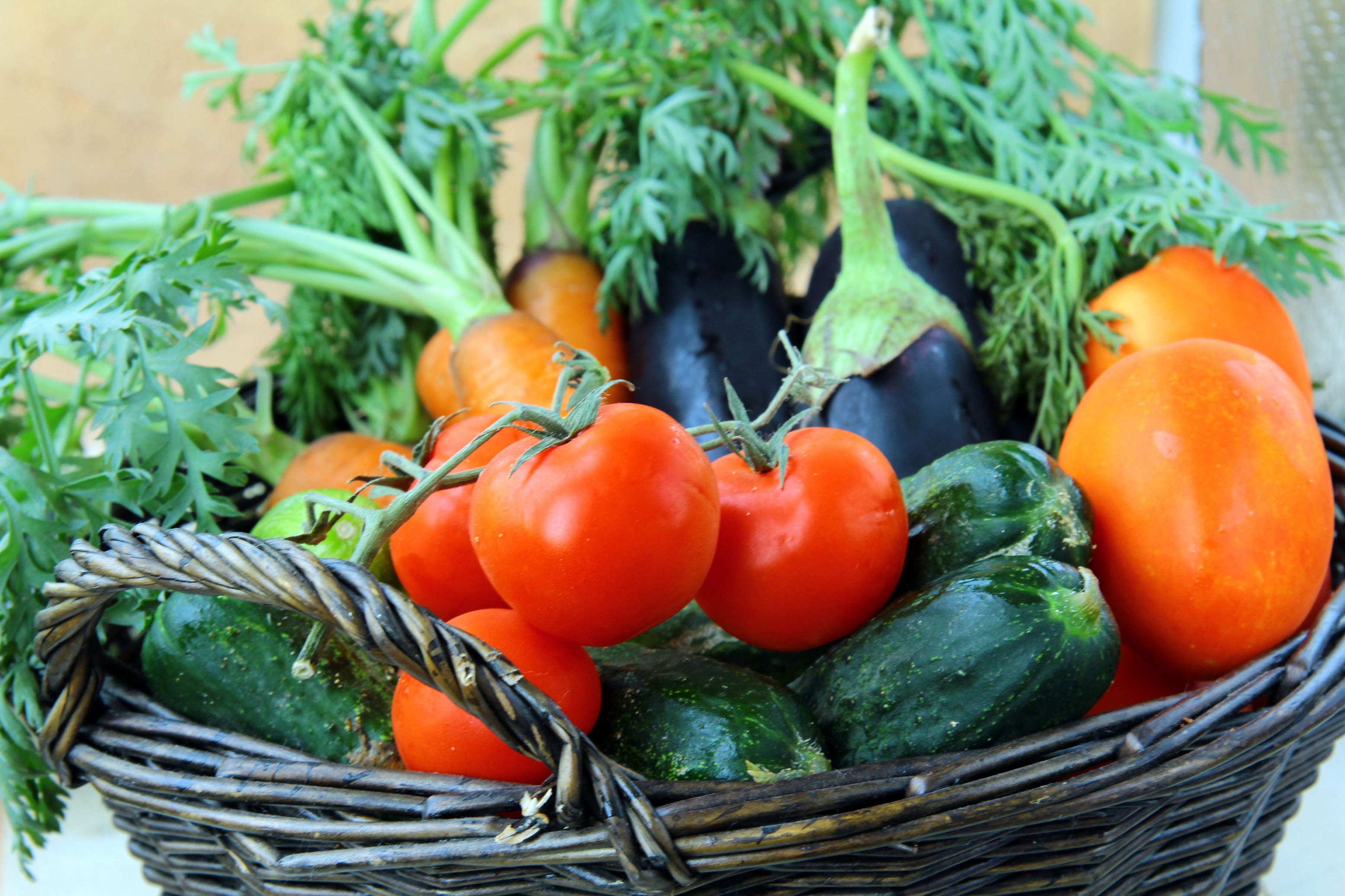 Gardening Quiz Time : Is tomato a fruit or a vegetable? 🍅 #gardening