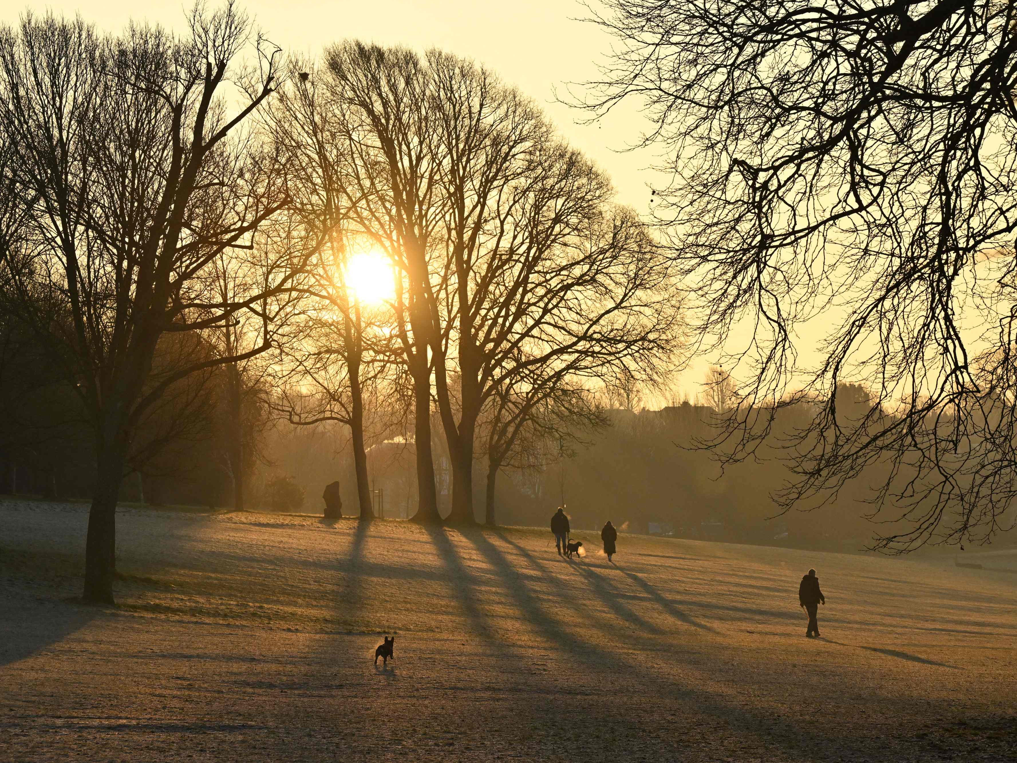 Sun rising over the frost-covered ground in Hove Park in Brighton last week