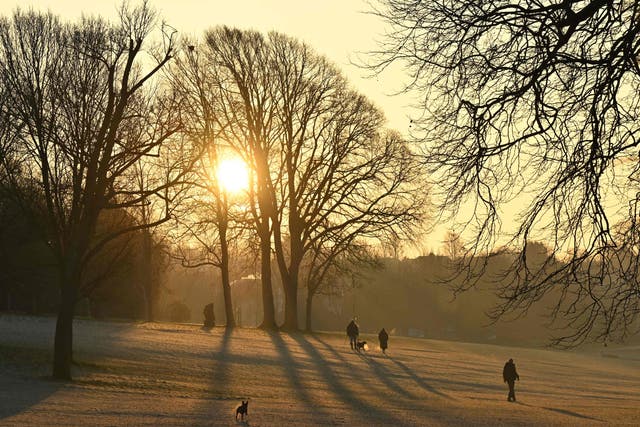 <p>People walk and exercise their dogs off of the lead as the sun rises over the frost-covered ground in Hove Park in Brighton last week</p>