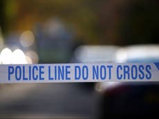 Teenager arrested on suspicion of murder after boy, 16, dies of injuries in Essex