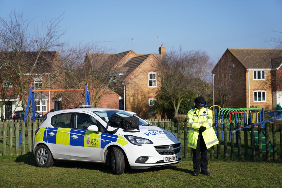 Police seal off woodland as teenager held on suspicion of murder of boy, 16