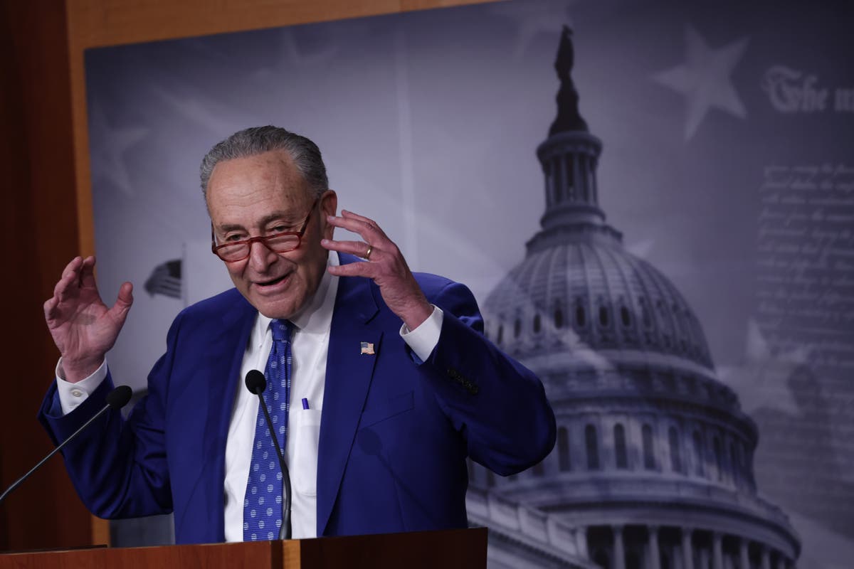 Chuck Schumer says GOP-led proposals to ban TikTok should be &lsquo;looked at&rsquo;