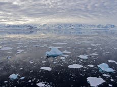 ‘Extraordinary marine heatwave’ could threaten Antarctica’s ice shelves
