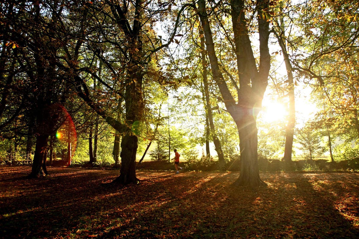 Morning exercise may be the best way of burning fat, study suggests