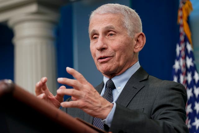 <p>Dr Anthony Fauci </p>