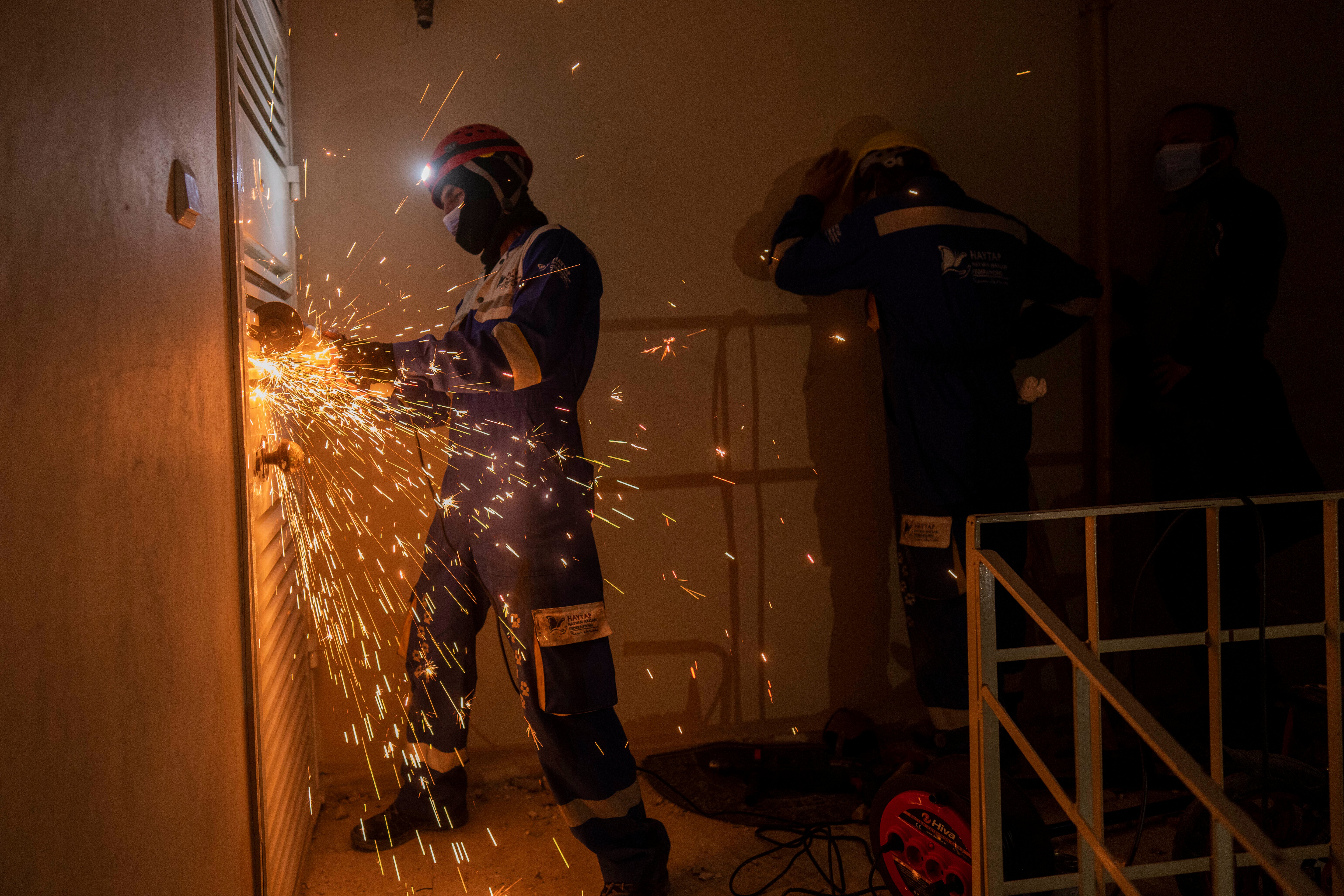 Turkey Syria Earthquake Animal Rescues