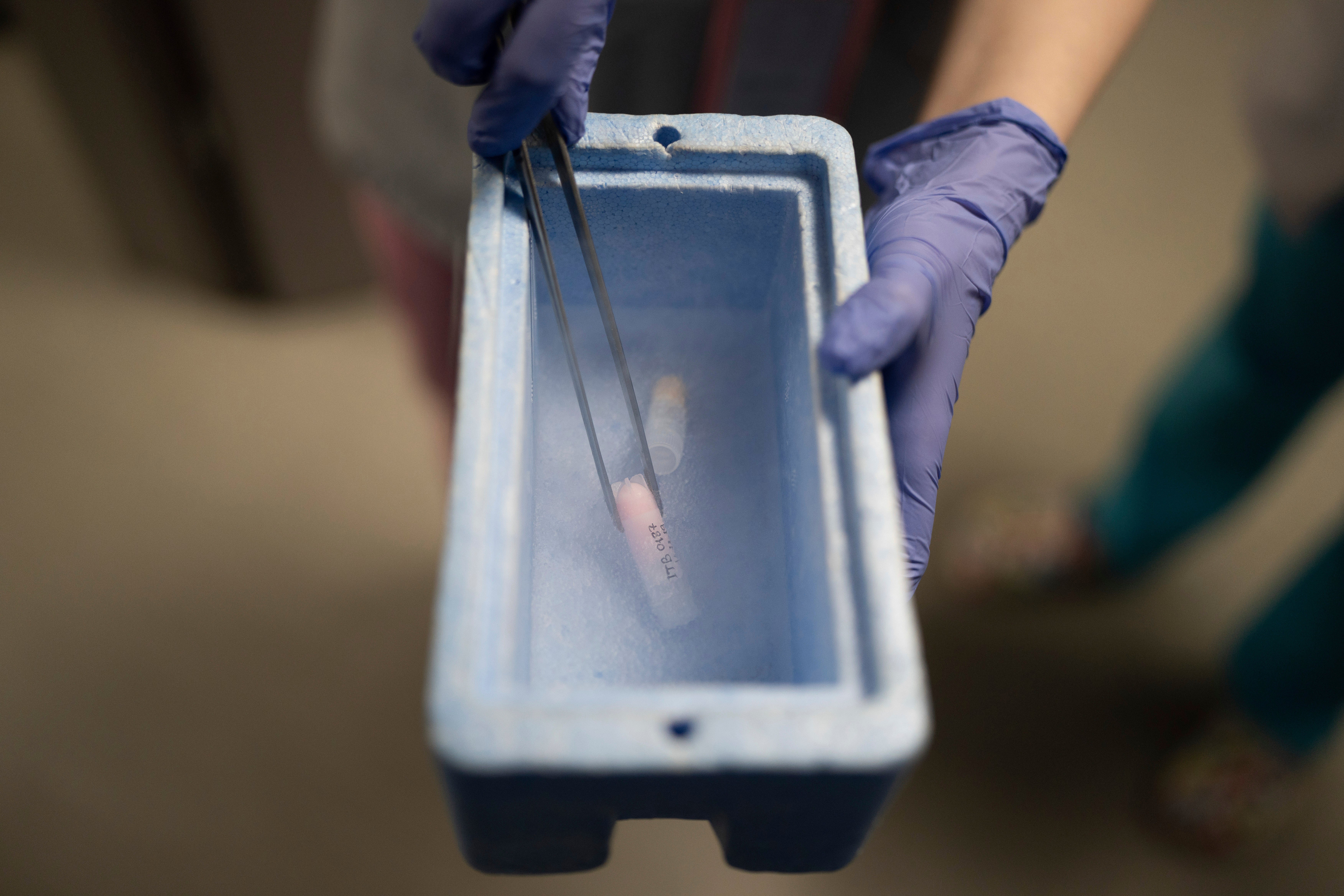 Ukraine Soldiers Freeze Sperm