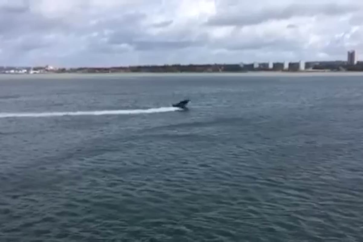 Speedboat driver cleared of manslaughter after buoy crash killed teenage girl