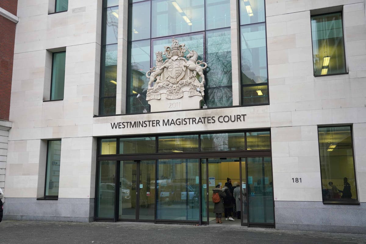 Austrian national pleads not guilty to terror offence
