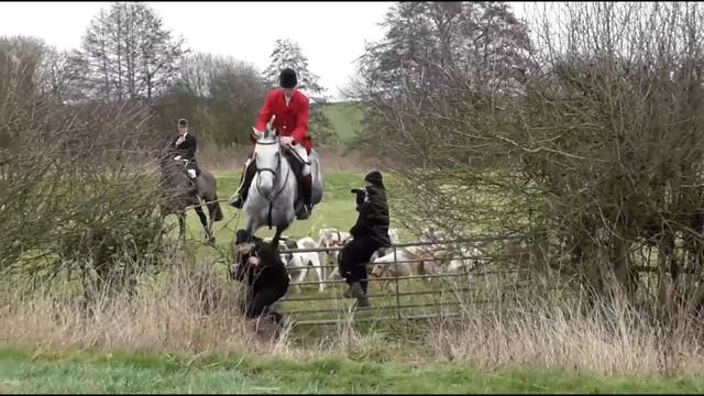 <p>Police have launched an investigation after shocking footage emerged showing a saboteur being flattened when she was trampled by a horse during a hunt.</p>