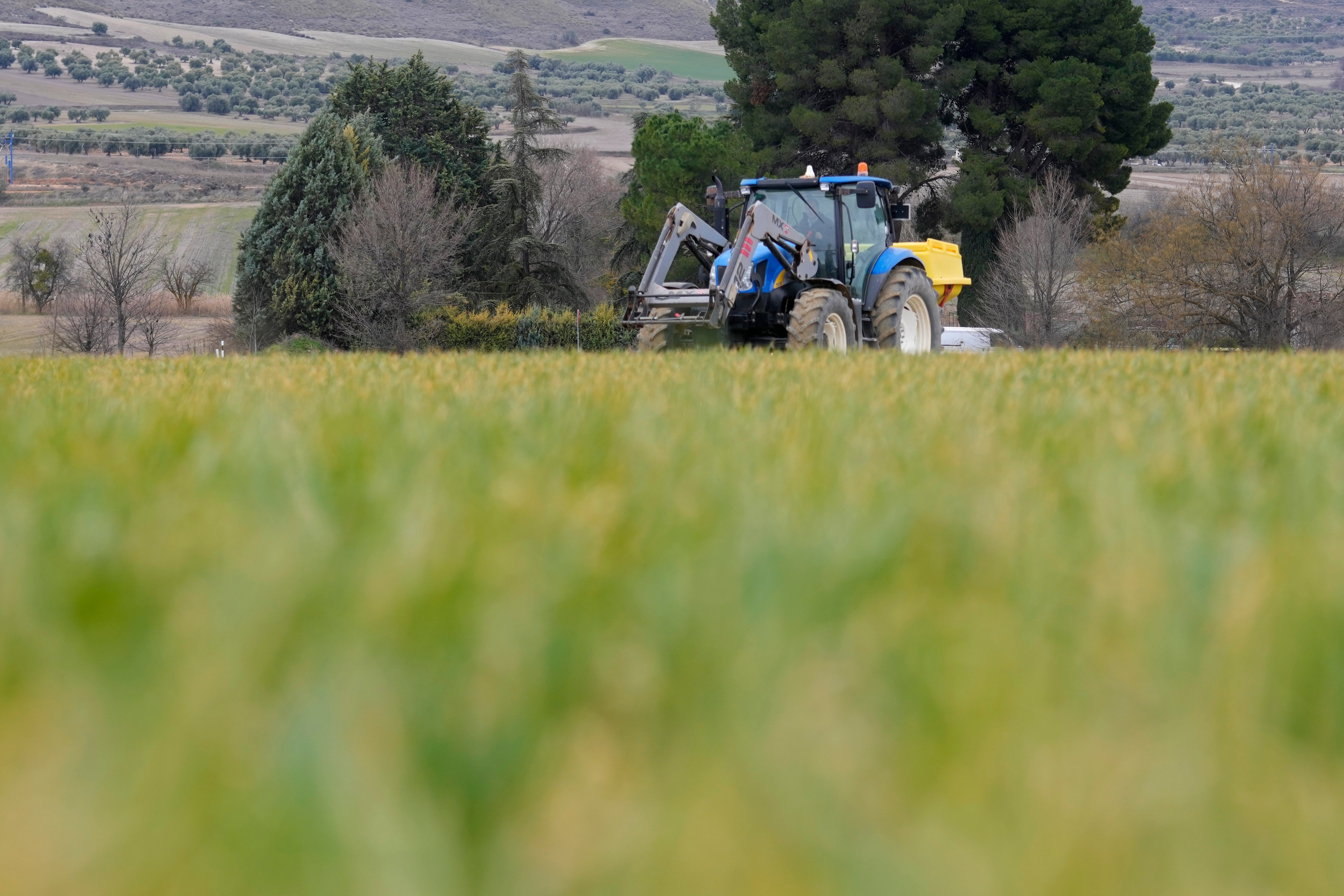 Russia Ukraine War Economic Impact