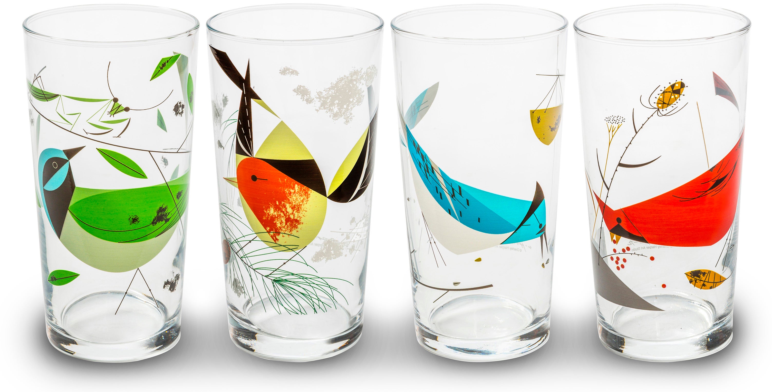 Homes-Outdoors-Bird Gear