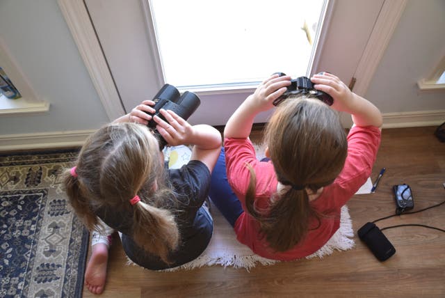 Outdoors-Great Backyard Bird Count