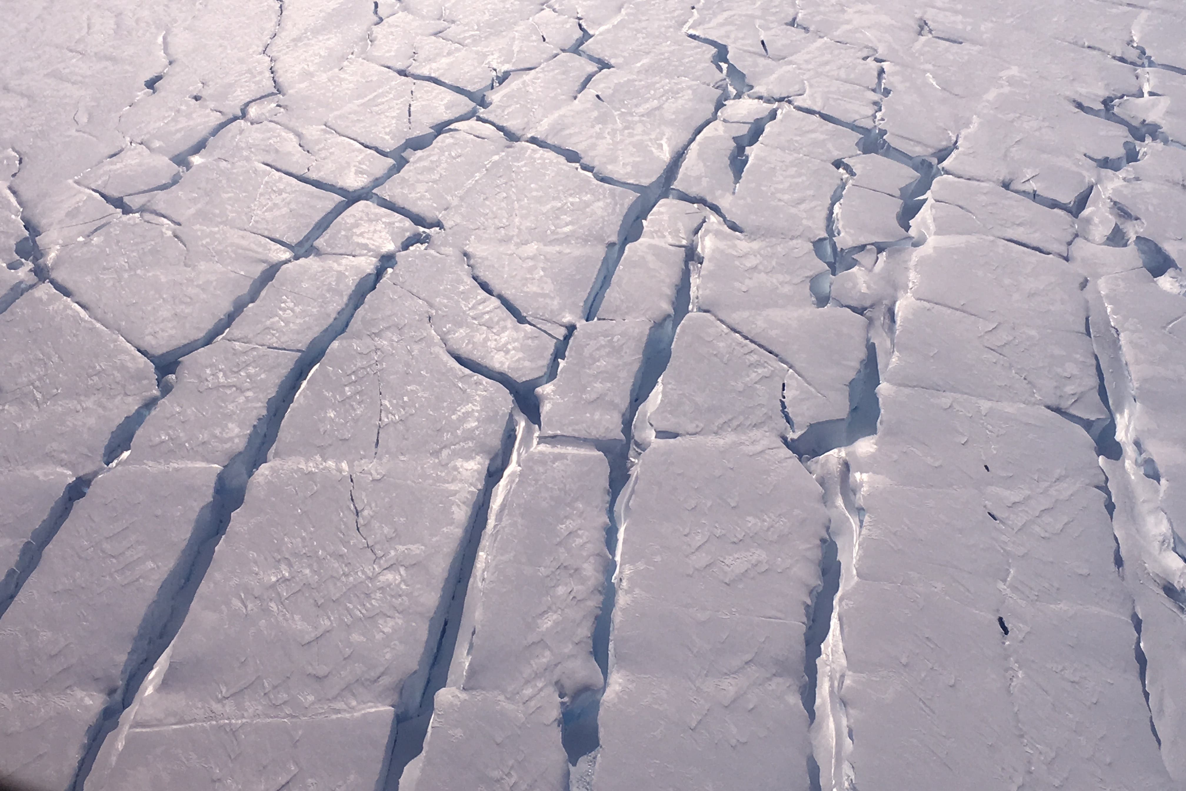 A new study has provided a close-up view of melting underneath the Thwaites Glacier (Icefin/ITGC/Schmidt)
