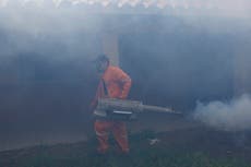 Bolivian hospitals under strain as dengue kills dozens