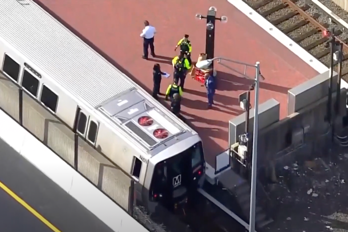 Man dies after being dragged down platform by dog leash caught in train ...