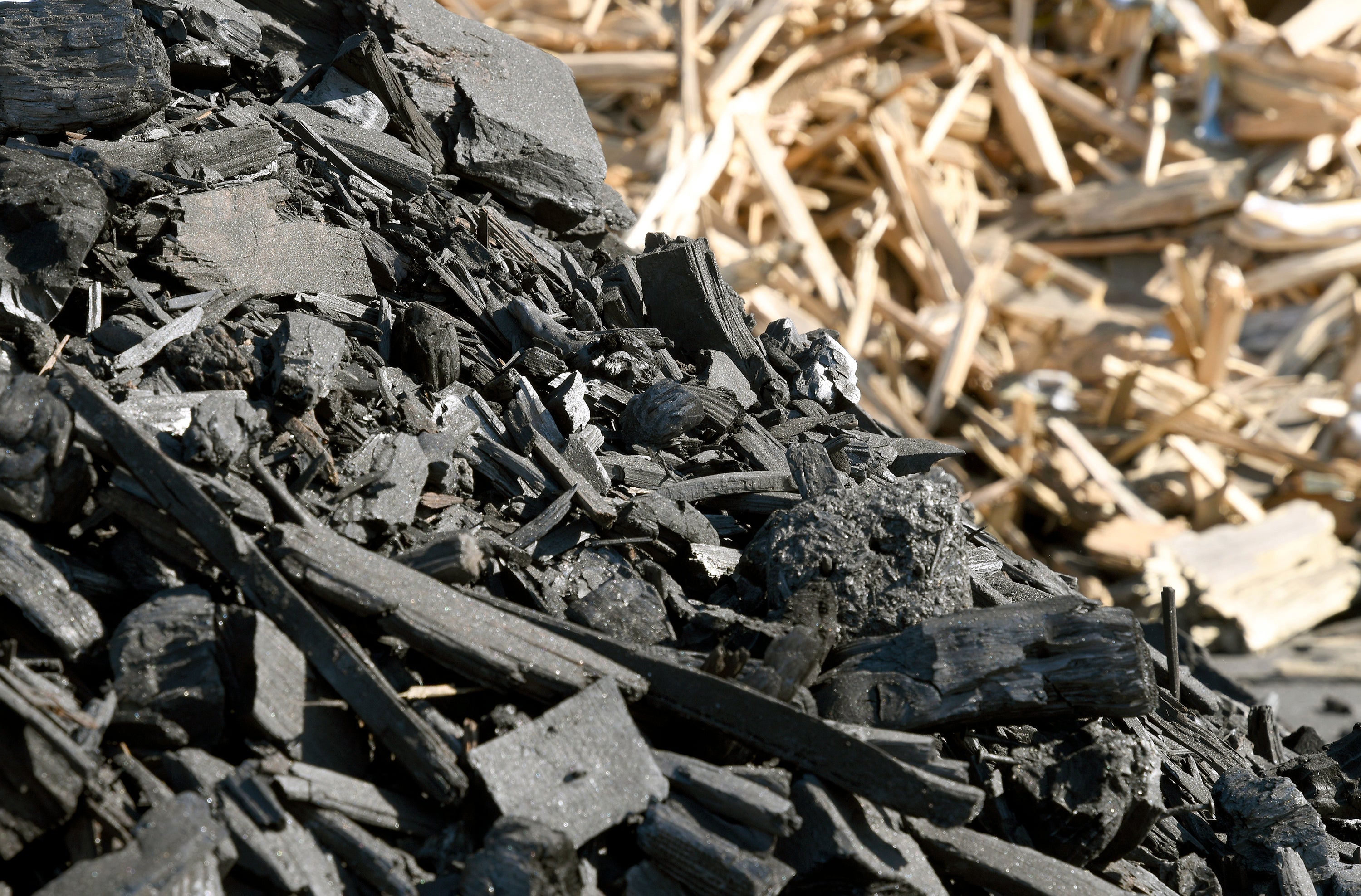 Biochar Carbon Sink