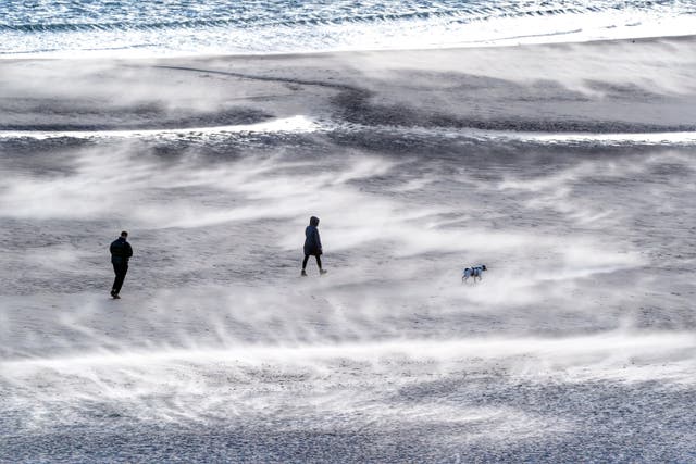 People walking a dog on Tynemouth beach on the North East coast (Owen Humphreys/PA)