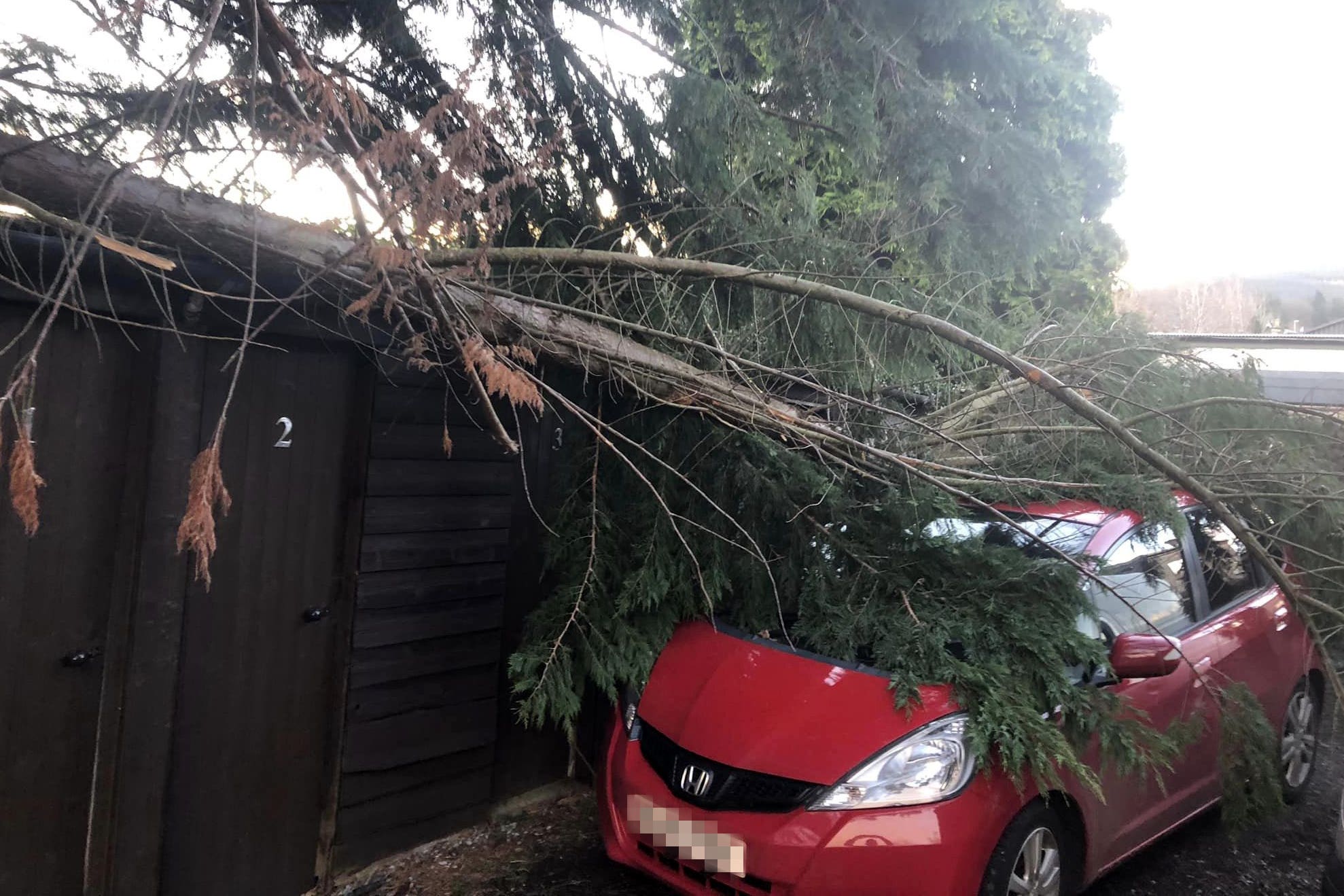 Trees have fallen due to Storm Otto (PA)