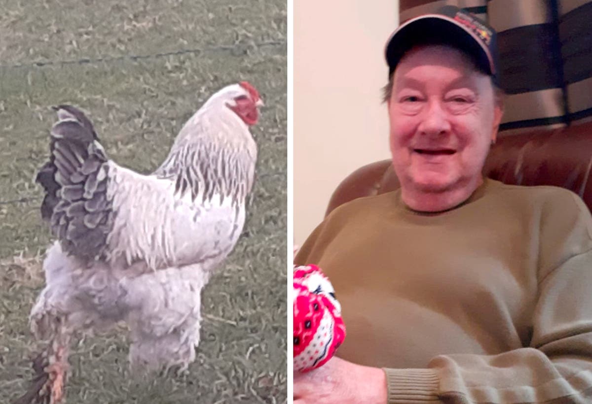 Daughter of man killed by chicken breaks silence | The Independent