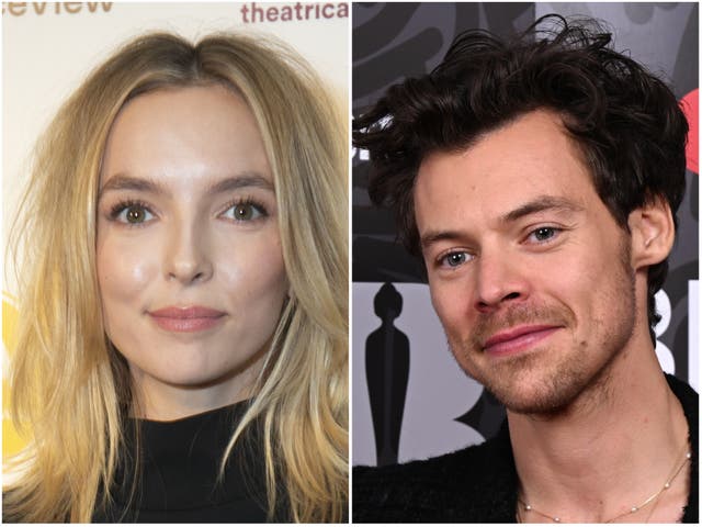 <p>Jodie Comer and Harry Styles both won awards from gender-neutral categories </p>