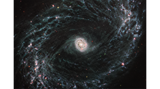 James Webb Space Telescope keeps finding galaxies that shouldn’t exist, scientist warns