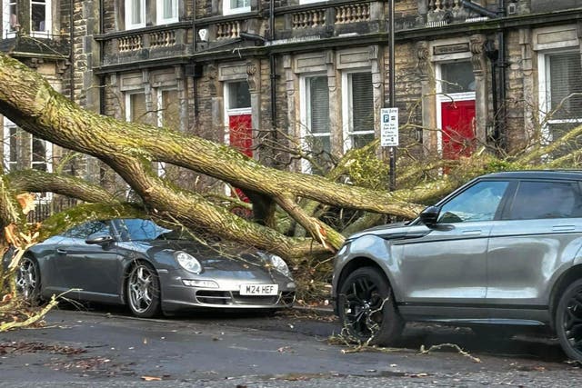 A fallen tree on a Porsche car in Harrogate, North Yorkshire (Charlie Lowe/PA)