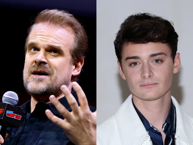 <p>David Harbour and Noah Schnapp</p>