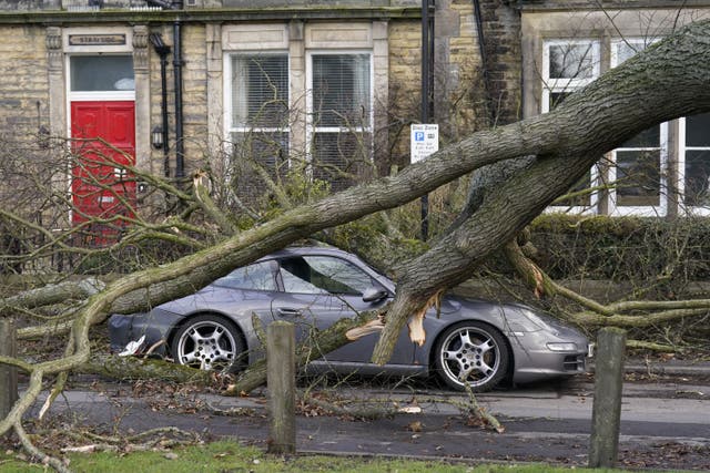 A Porsche 911 car is damaged by a fallen tree in Harrogate (Danny Lawson/PA)