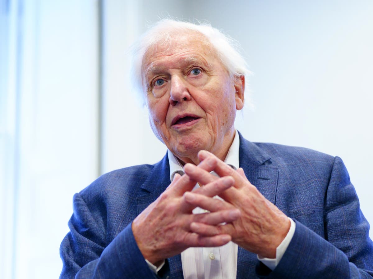 Sir David Attenborough reveals his one regret of 69-year TV career 