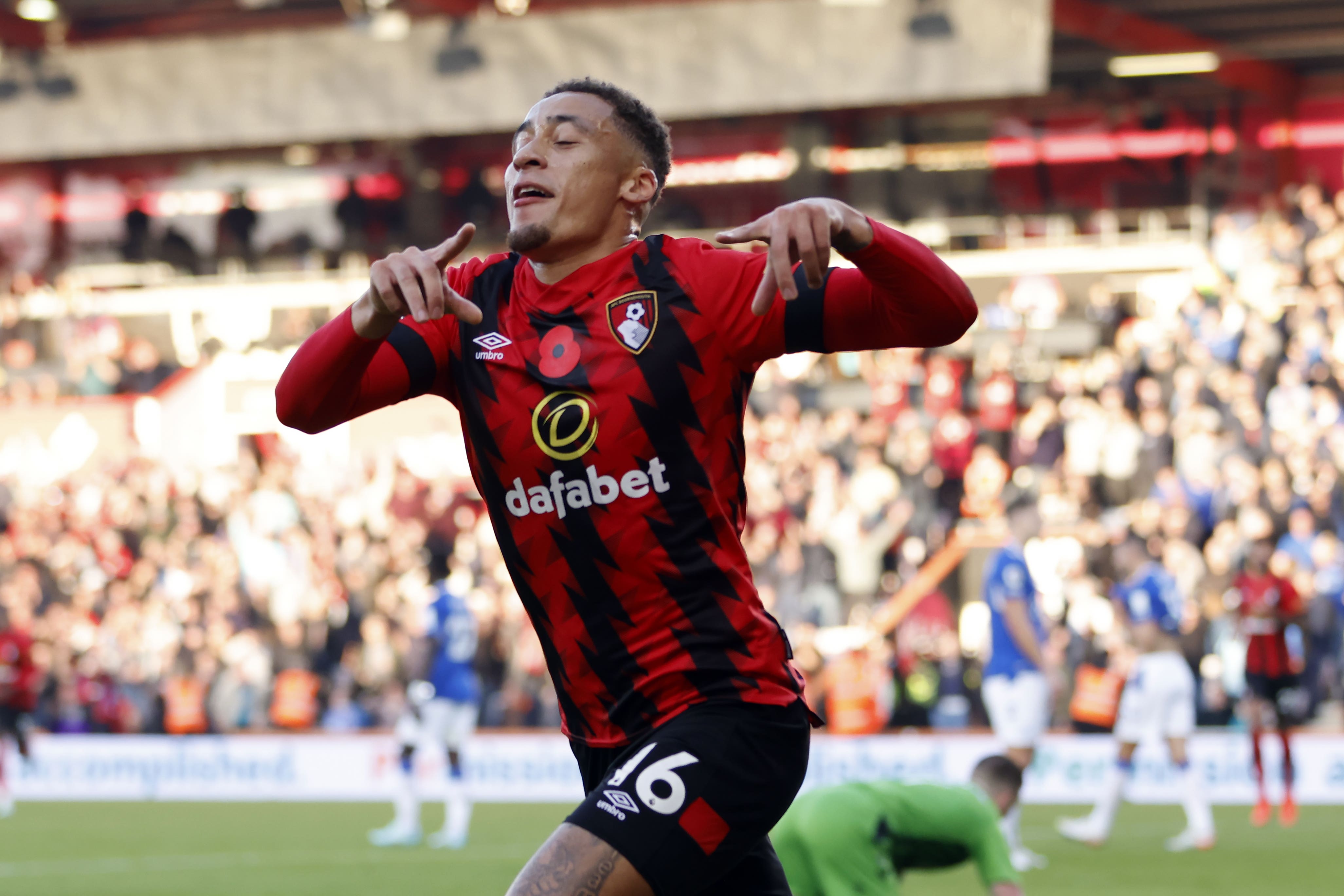 Marcus Tavernier earns Bournemouth crucial win at Wolves | The Independent