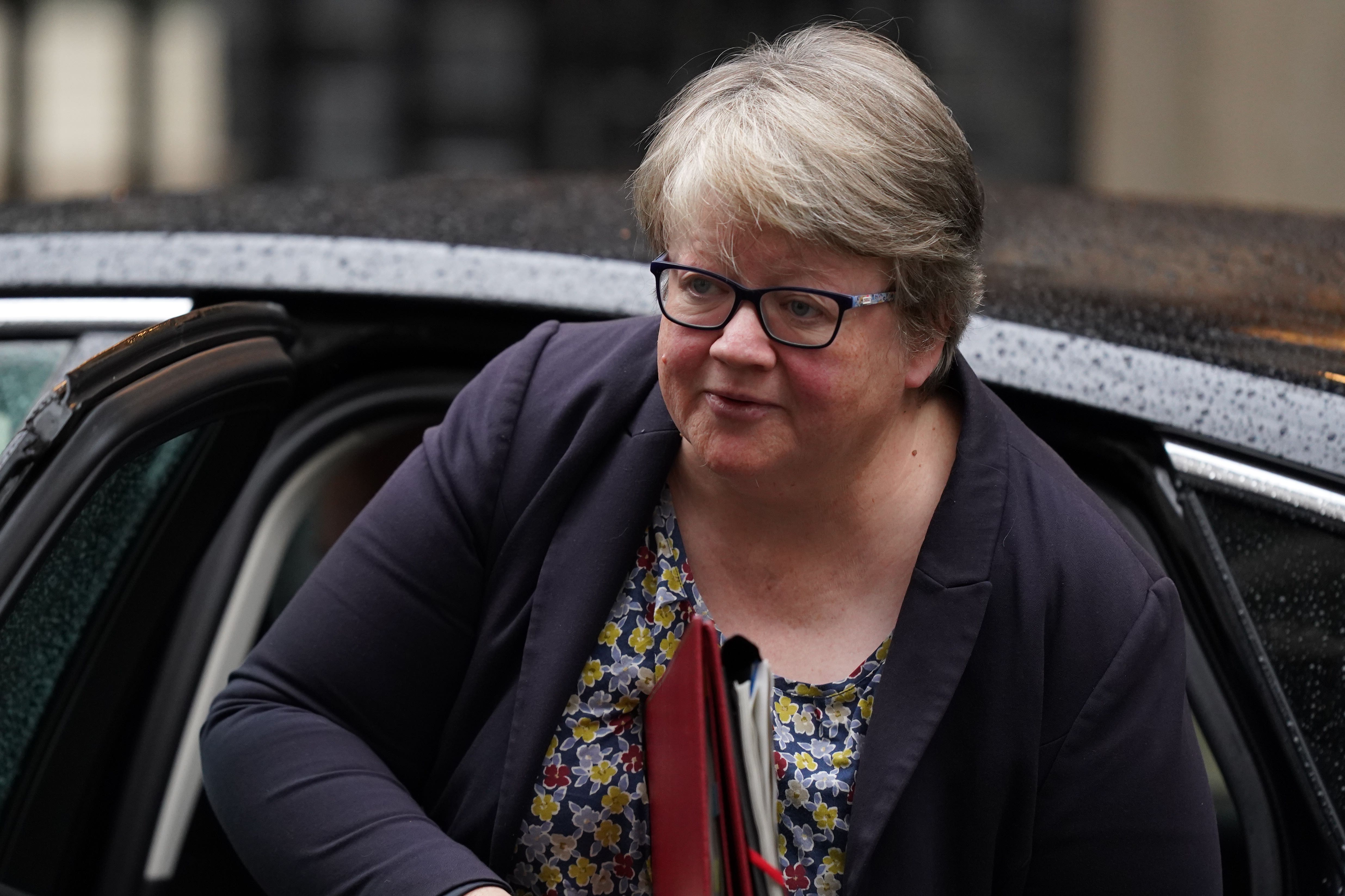 Environment Secretary Therese Coffey’s plans were criticised by Labour (James Manning/PA)